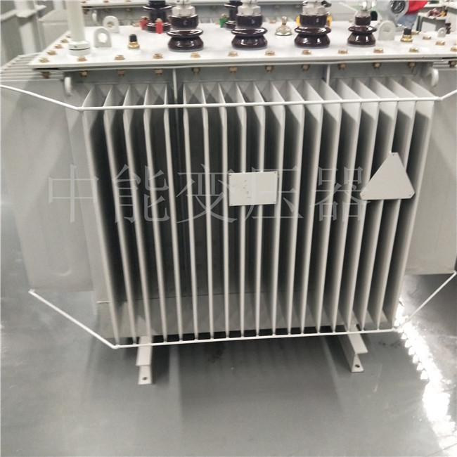 濮阳S20-800KVA变压器